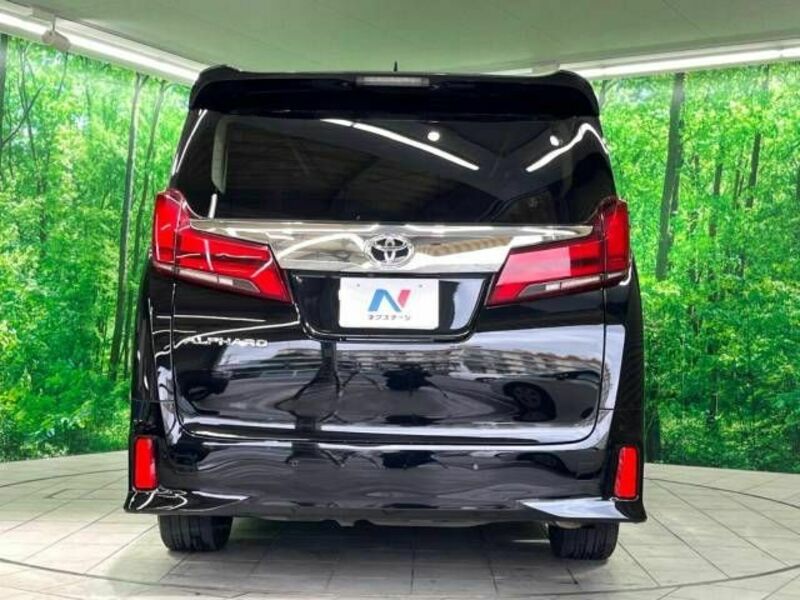 ALPHARD-16