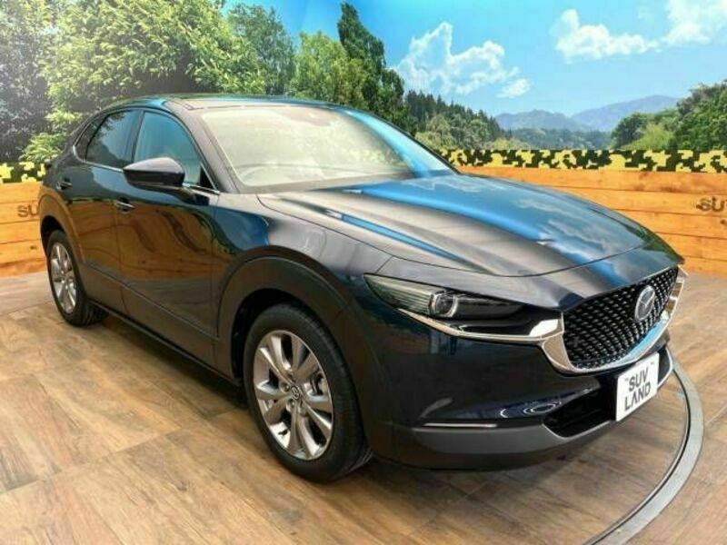 CX-30-16