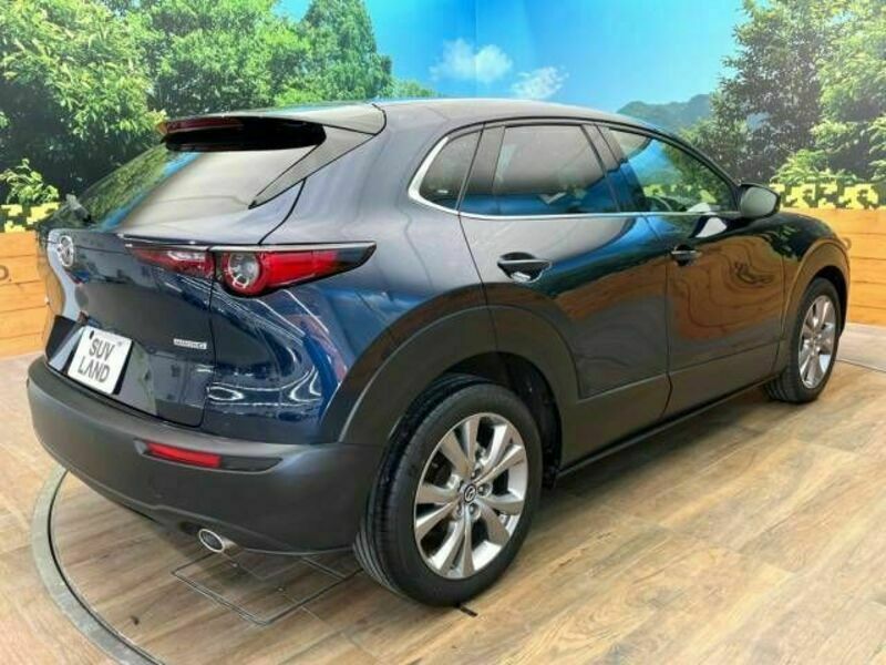 CX-30-17