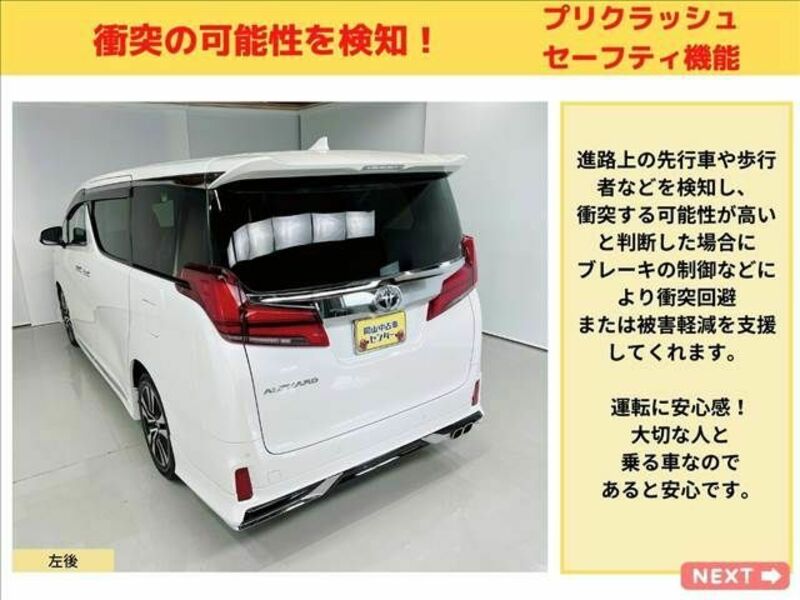 ALPHARD-8