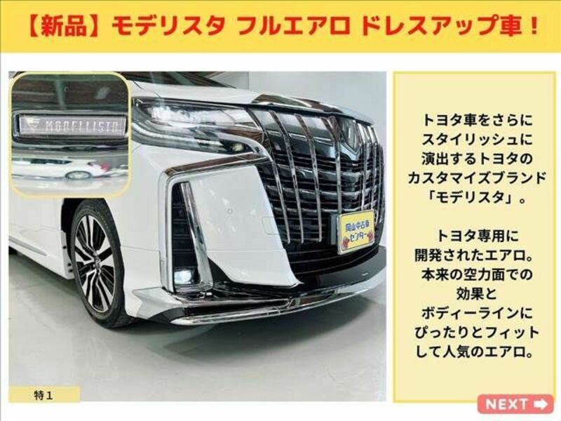 ALPHARD-10