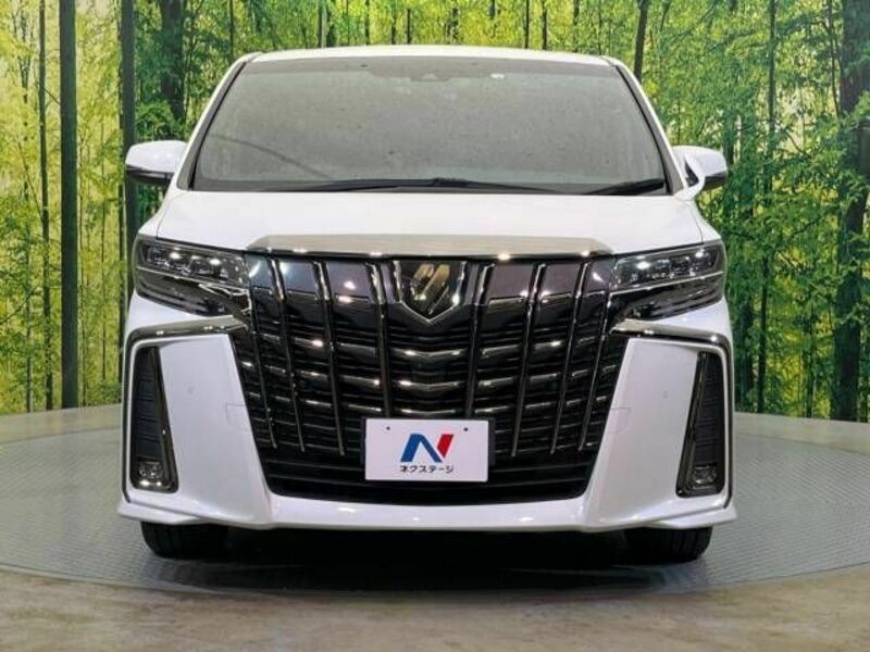 ALPHARD-14