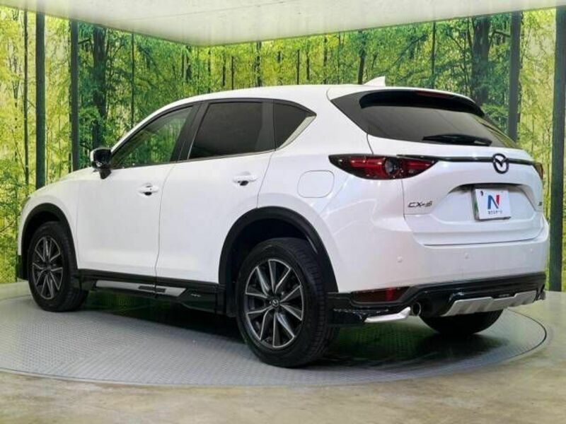 CX-5-16