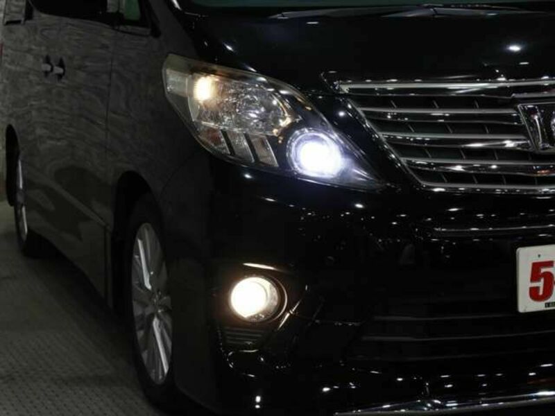 ALPHARD-14