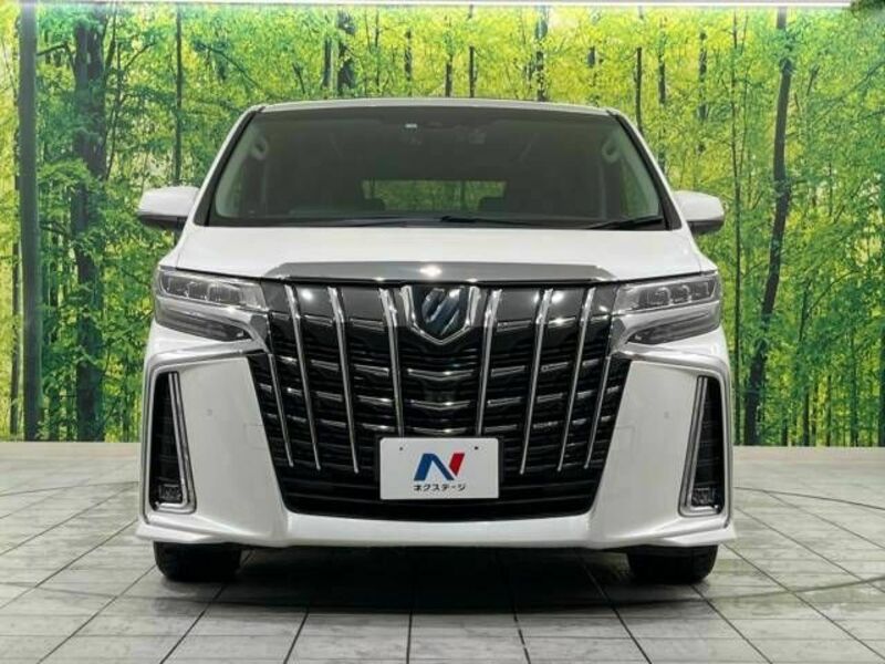 ALPHARD-16