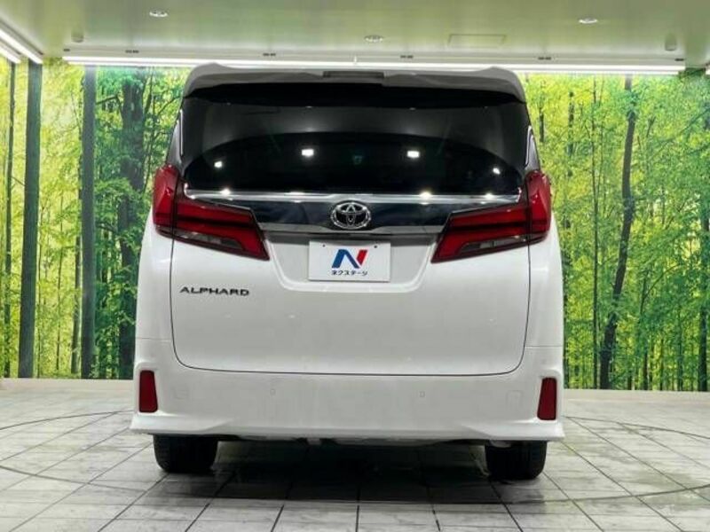 ALPHARD-17