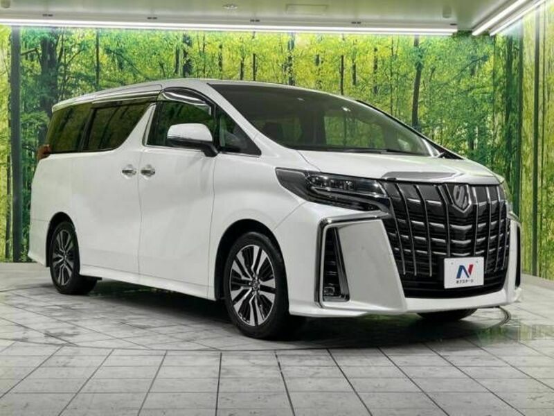 ALPHARD-18