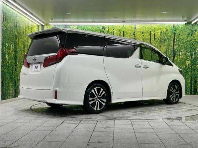 ALPHARD-19