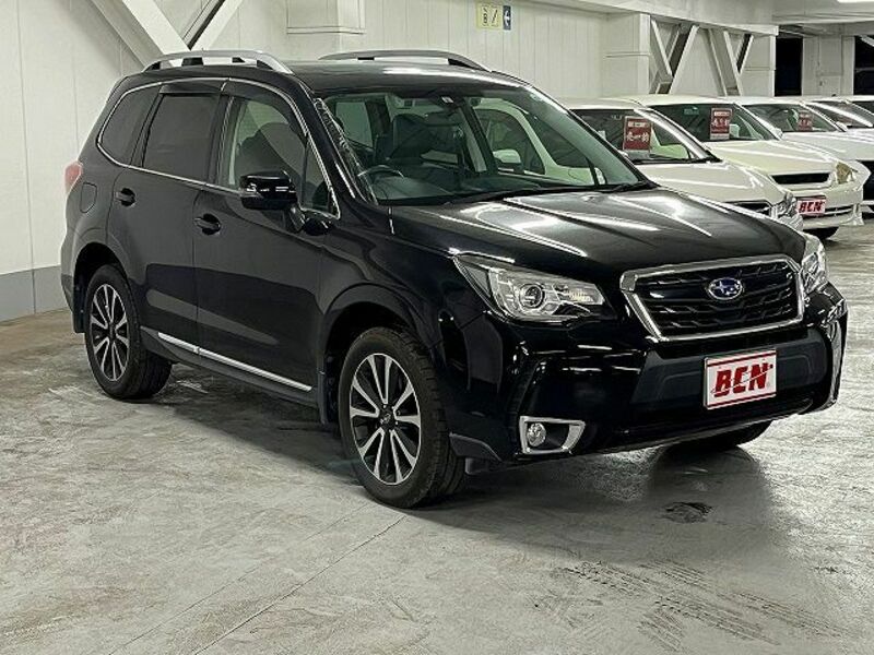 FORESTER-6