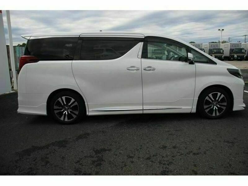 ALPHARD-10