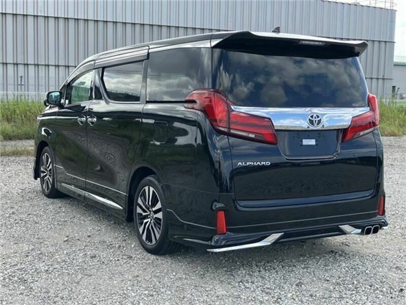 ALPHARD-6