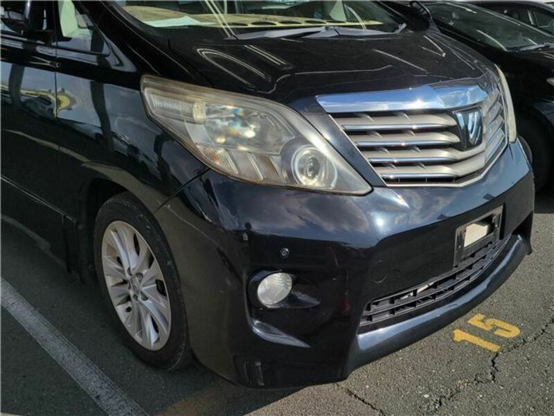 ALPHARD-3