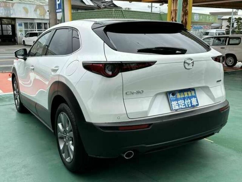 CX-30-1