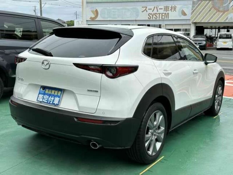 CX-30-2