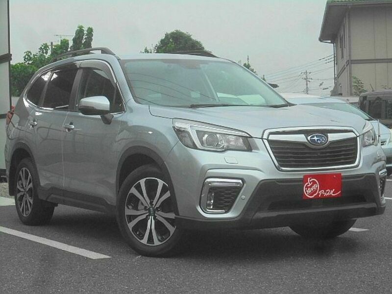 FORESTER-3