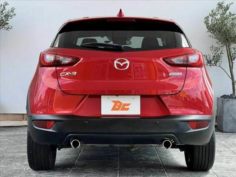 CX-3-13