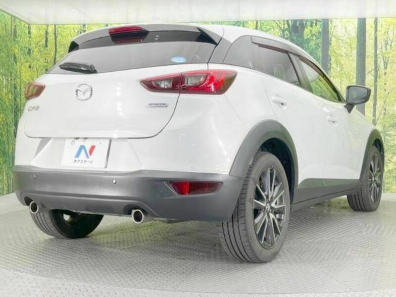 CX-3-16