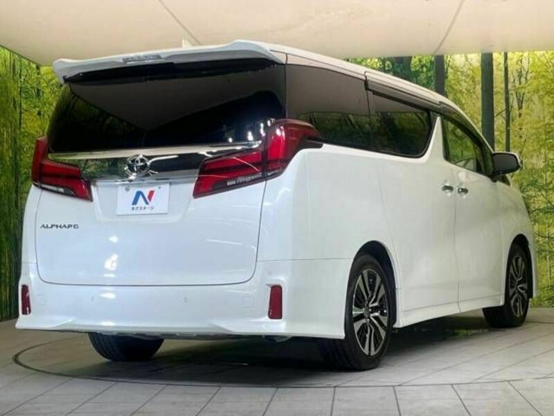 ALPHARD-17