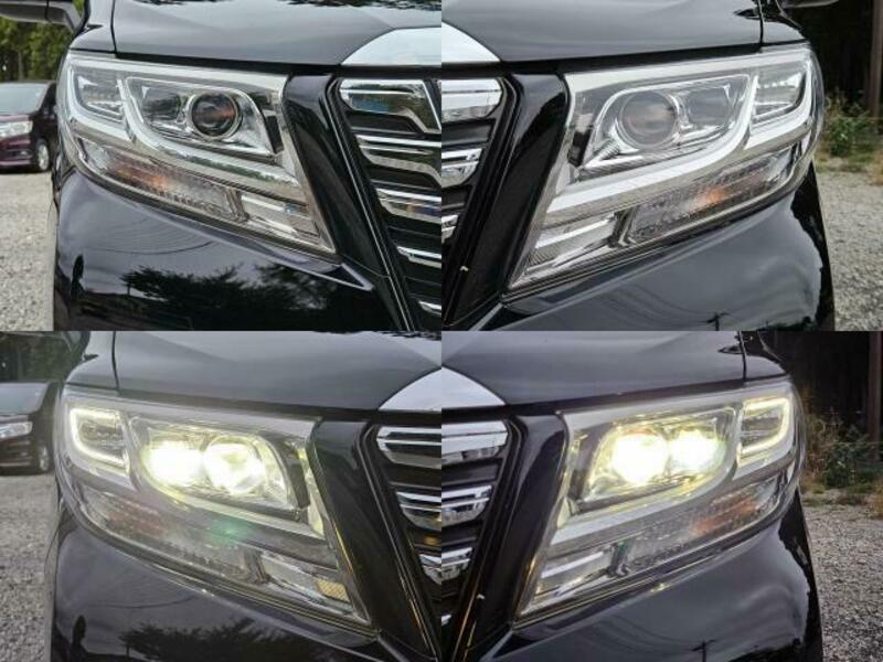 ALPHARD-10