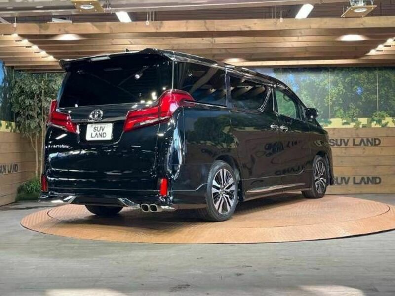 ALPHARD-18