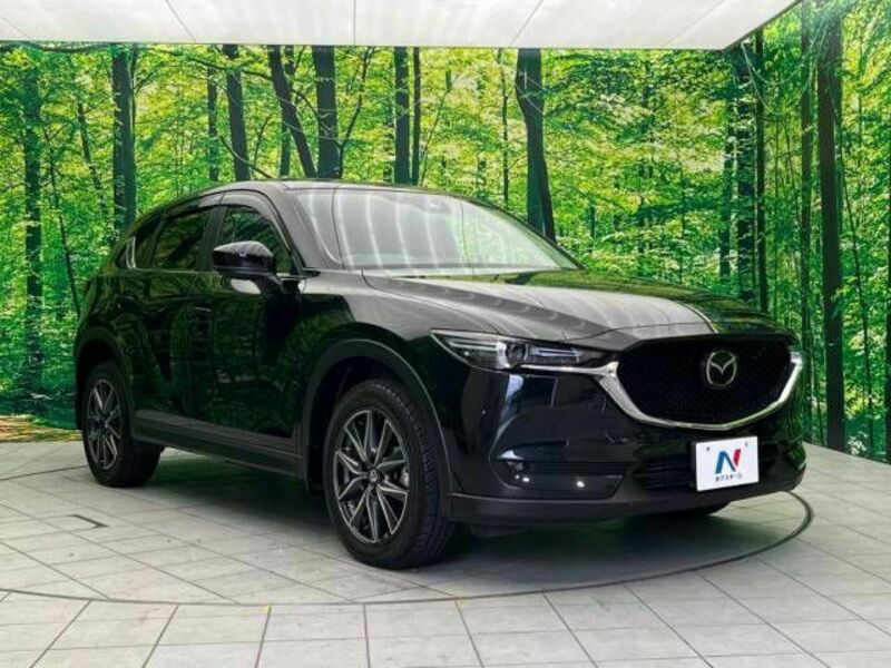 CX-5-16