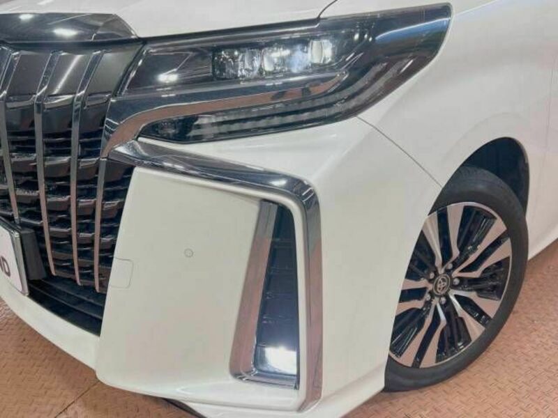 ALPHARD-13