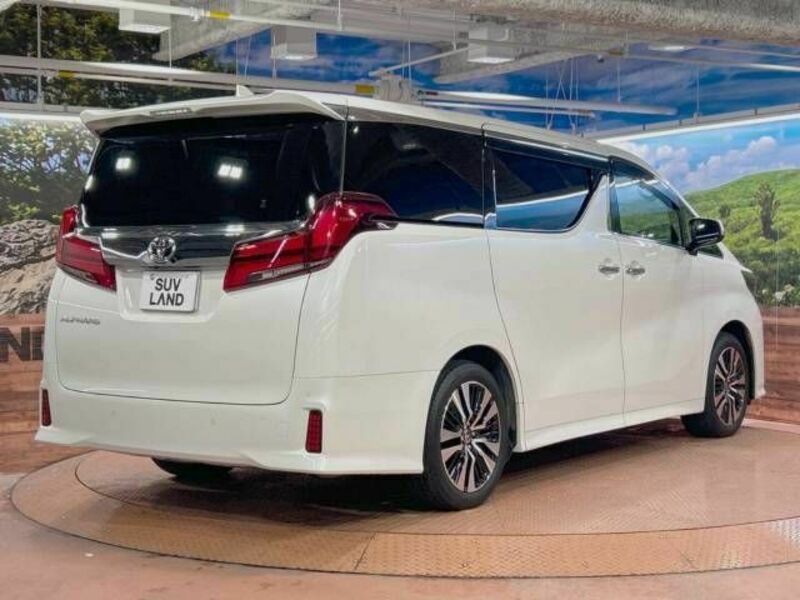 ALPHARD-18