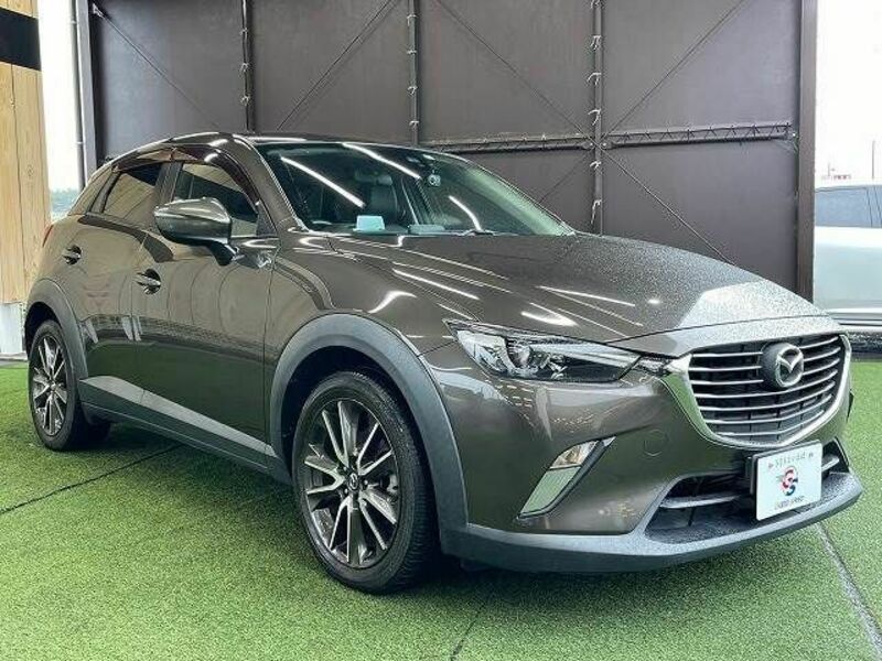 CX-3-13