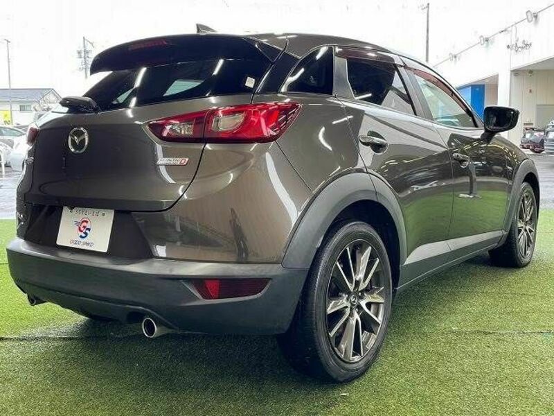 CX-3-15