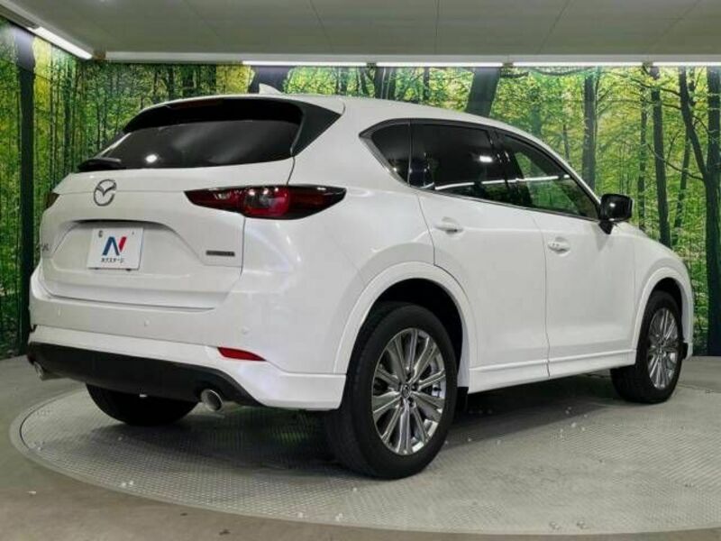 CX-5-17