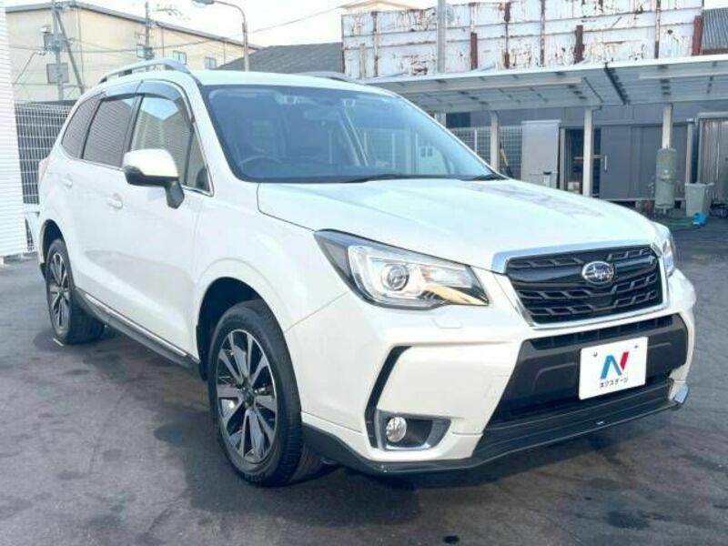 FORESTER-16