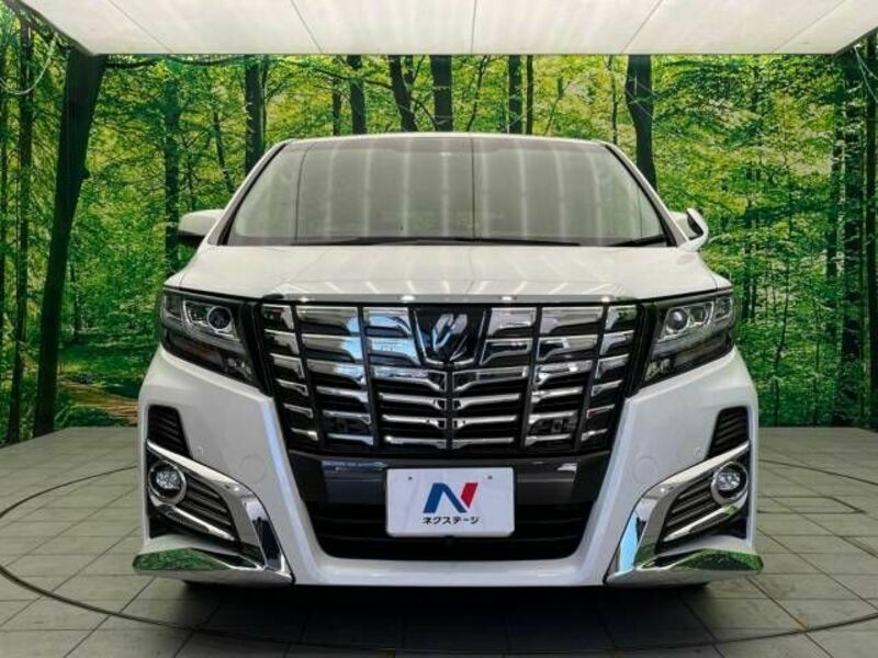 ALPHARD-15