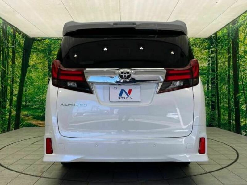 ALPHARD-16