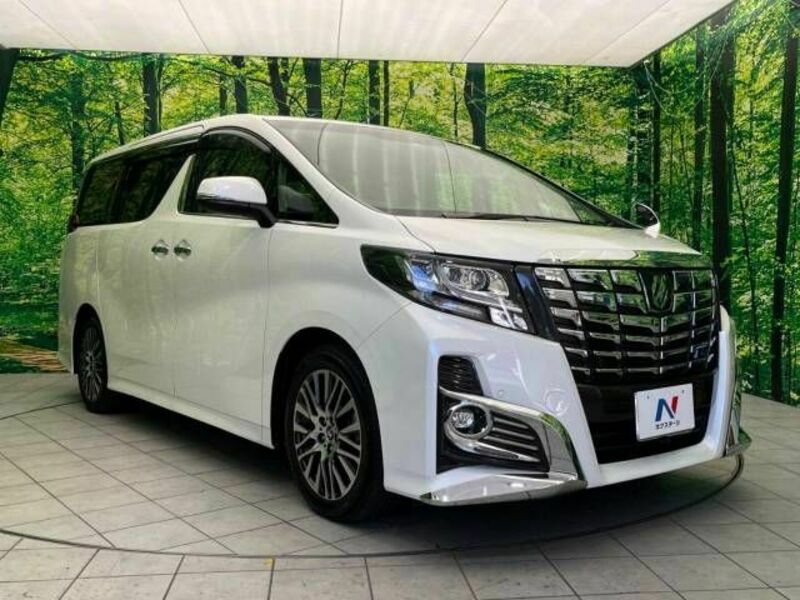 ALPHARD-17