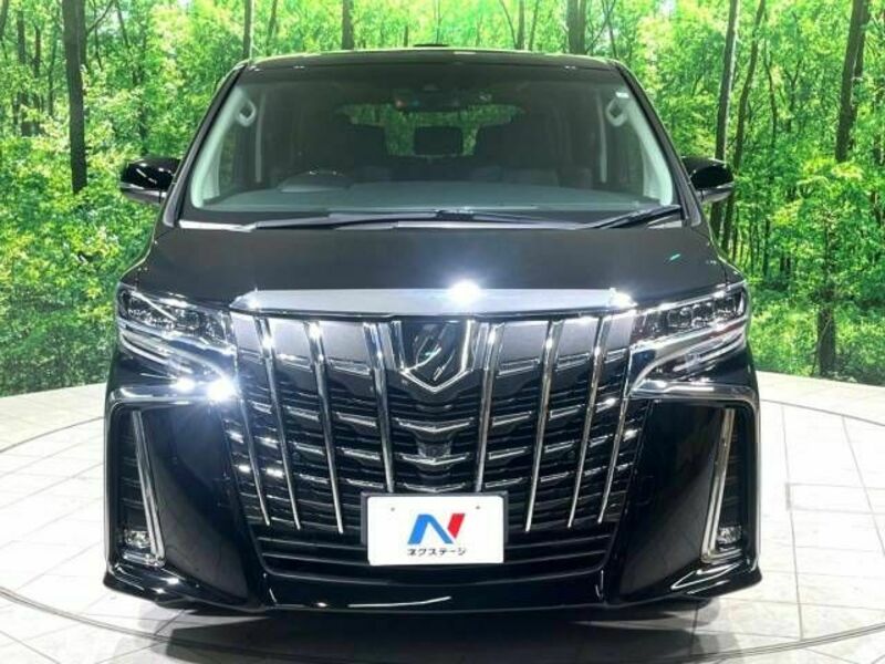 ALPHARD-18