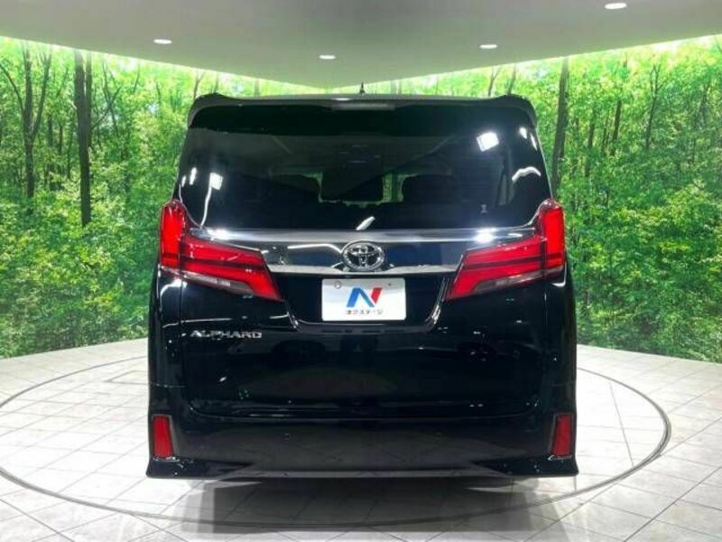 ALPHARD-19