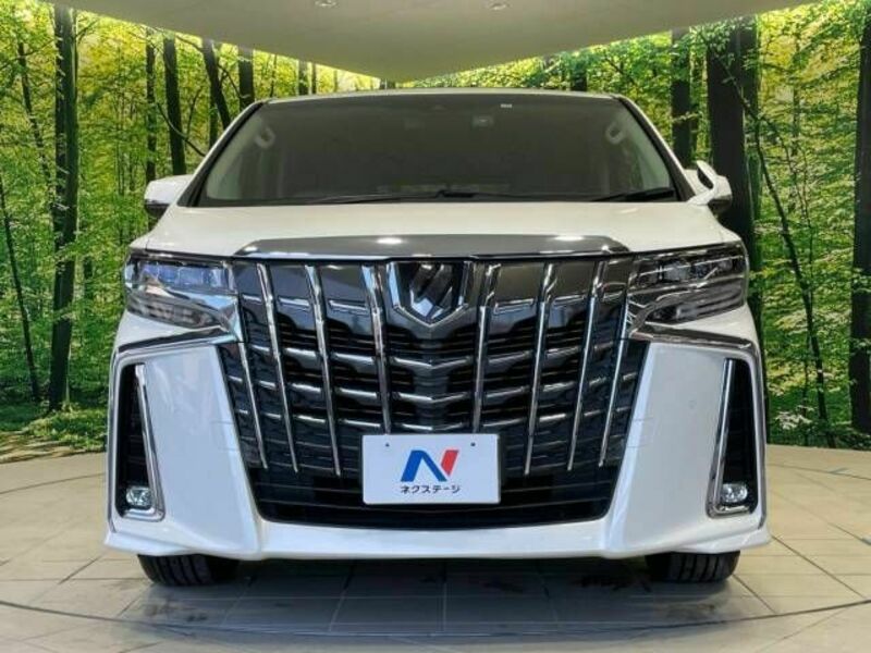 ALPHARD-13