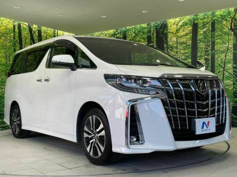 ALPHARD-15