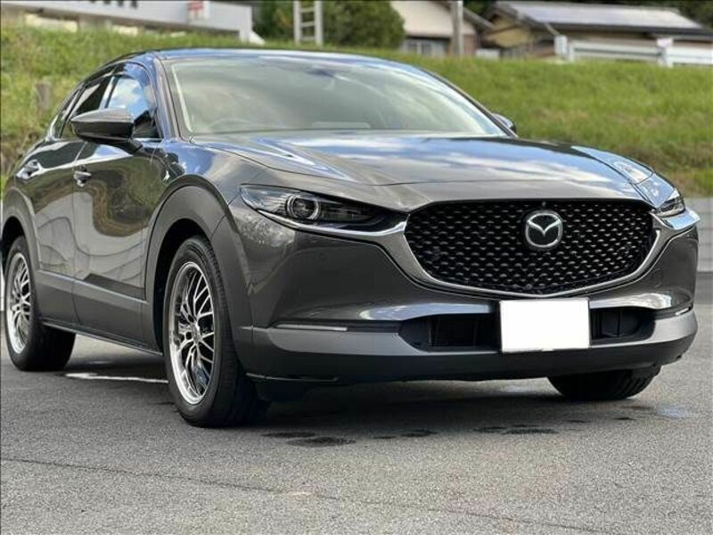 CX-30-1