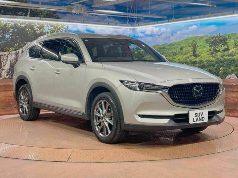 CX-8-16