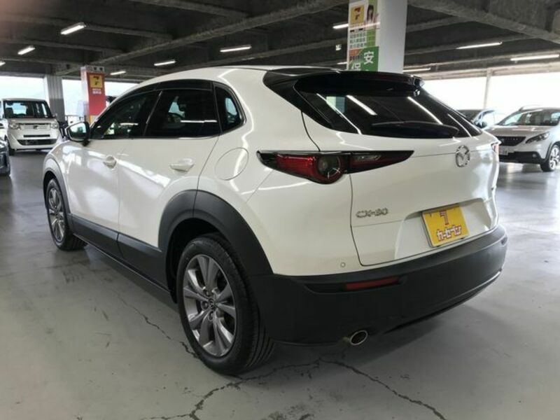 CX-30-2