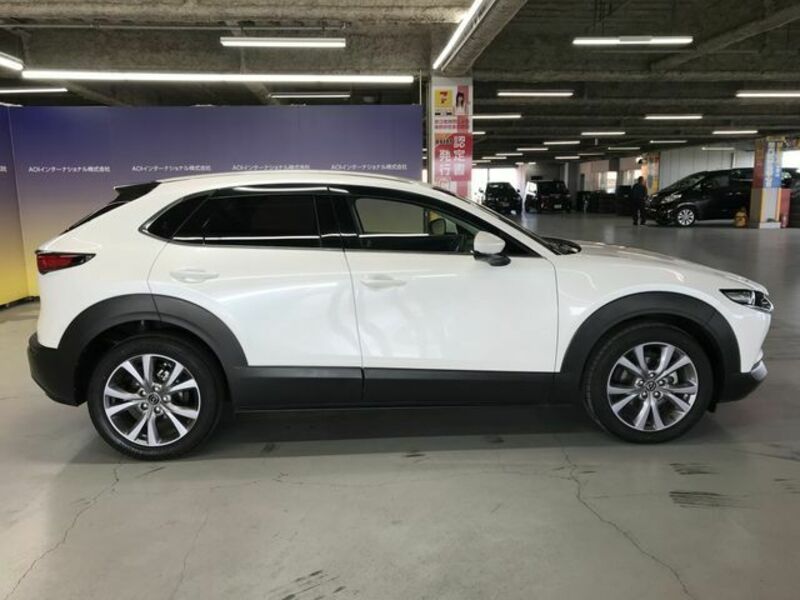 CX-30-5