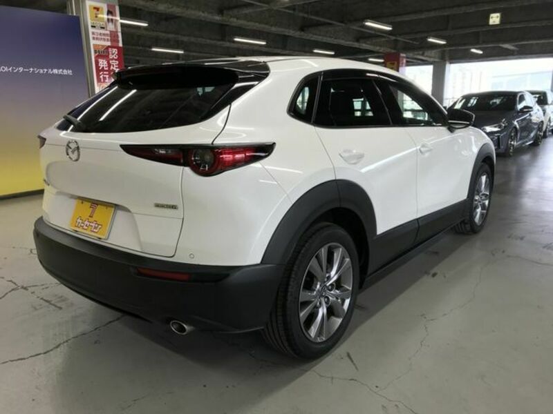 CX-30-6