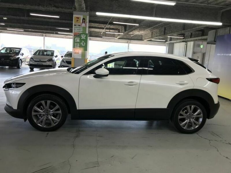 CX-30-8