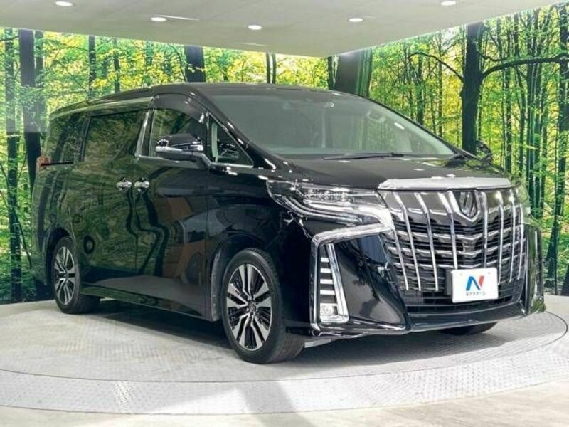 ALPHARD-17