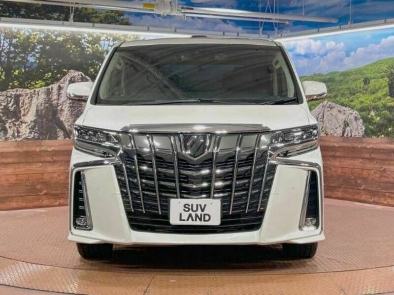 ALPHARD-16