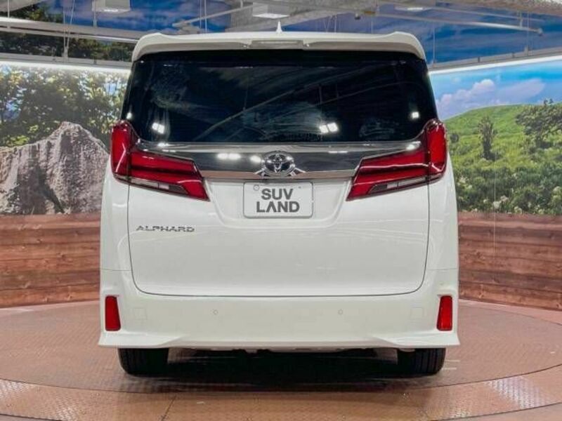 ALPHARD-17