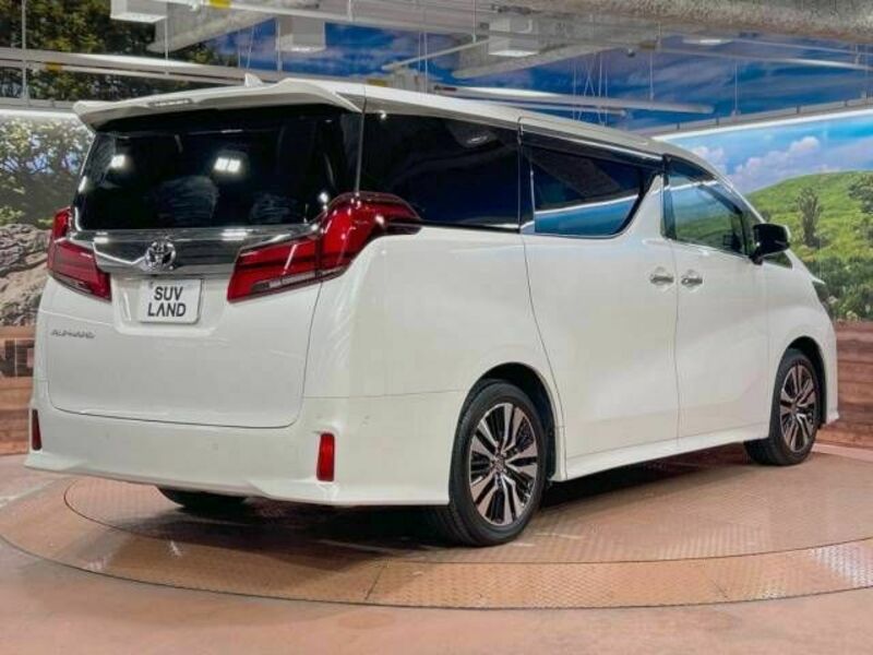 ALPHARD-19