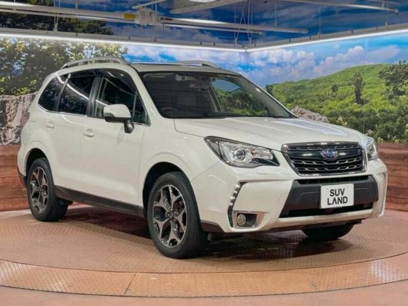 FORESTER-16