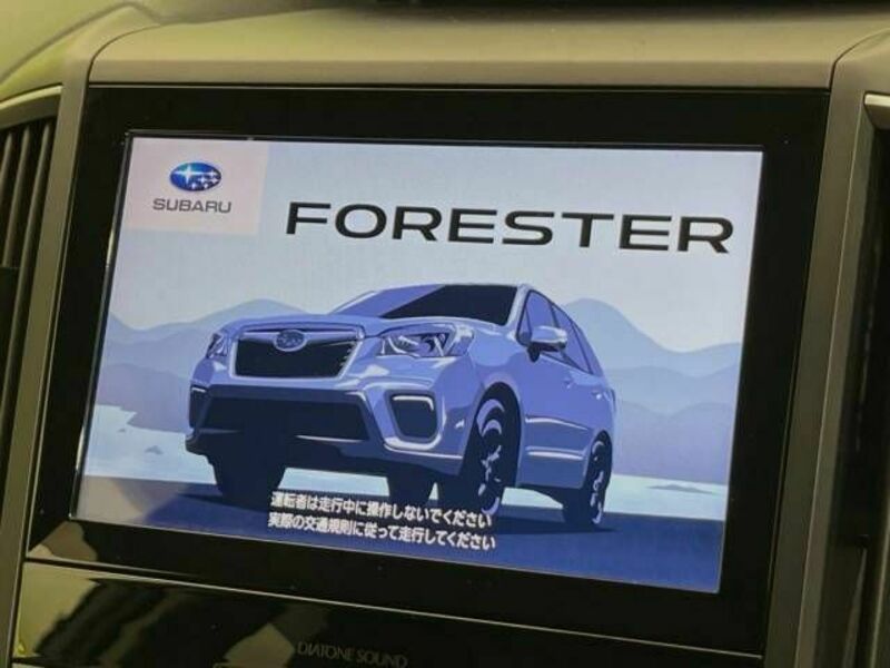 FORESTER-2